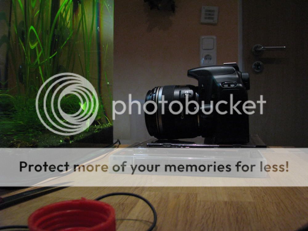 IMG_2709ll.jpg