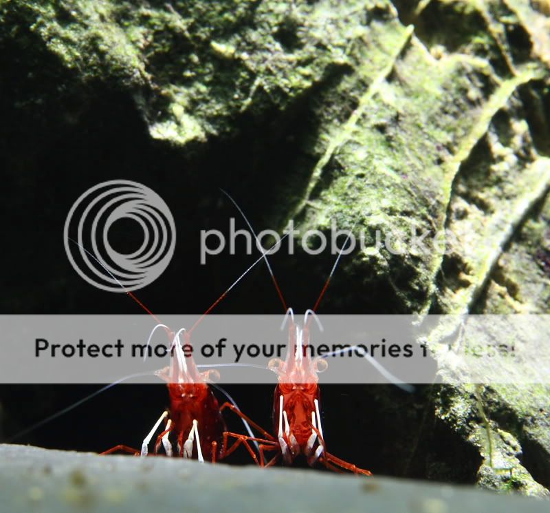 IMG_5385ssssss.jpg