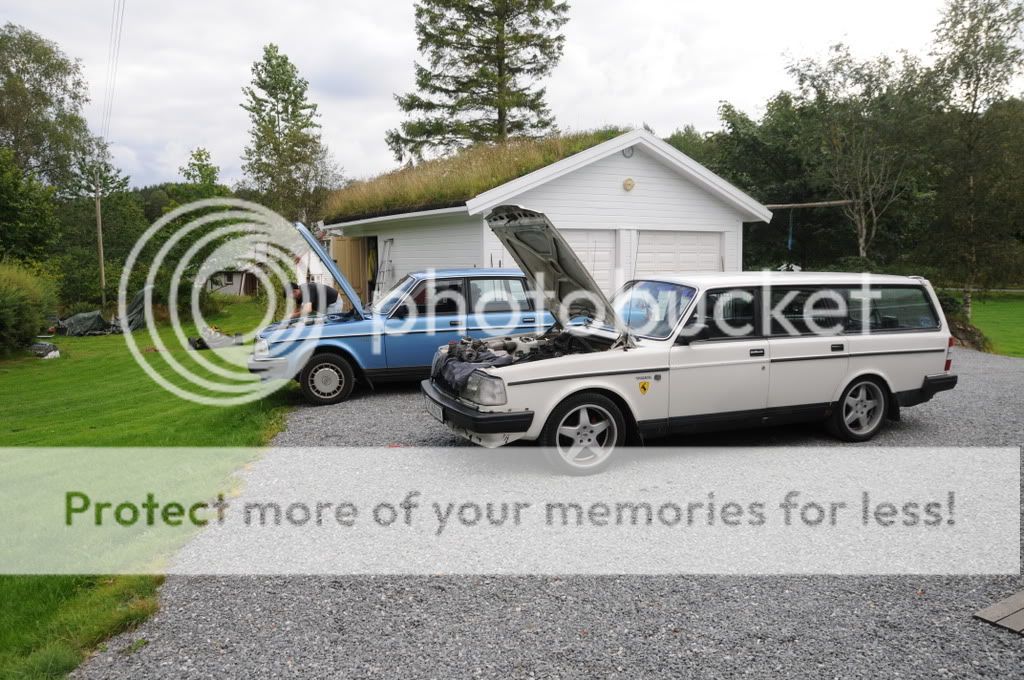 DSC_0275.jpg?t=1221432781