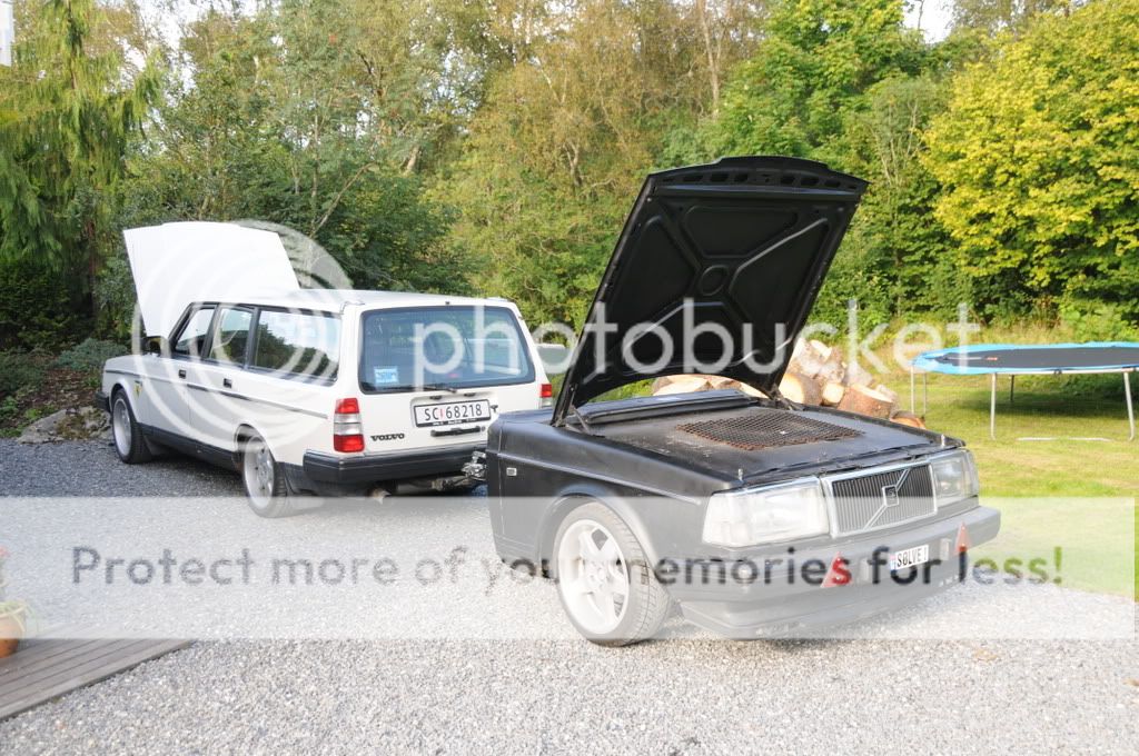 DSC_0333.jpg?t=1220292009