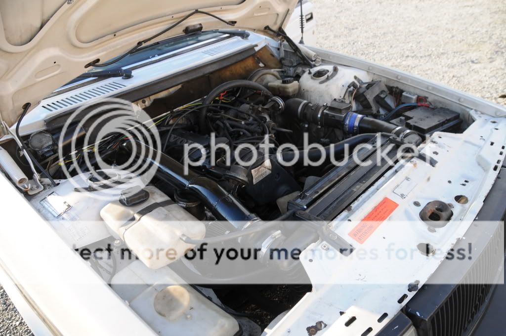 DSC_1049.jpg?t=1221432630