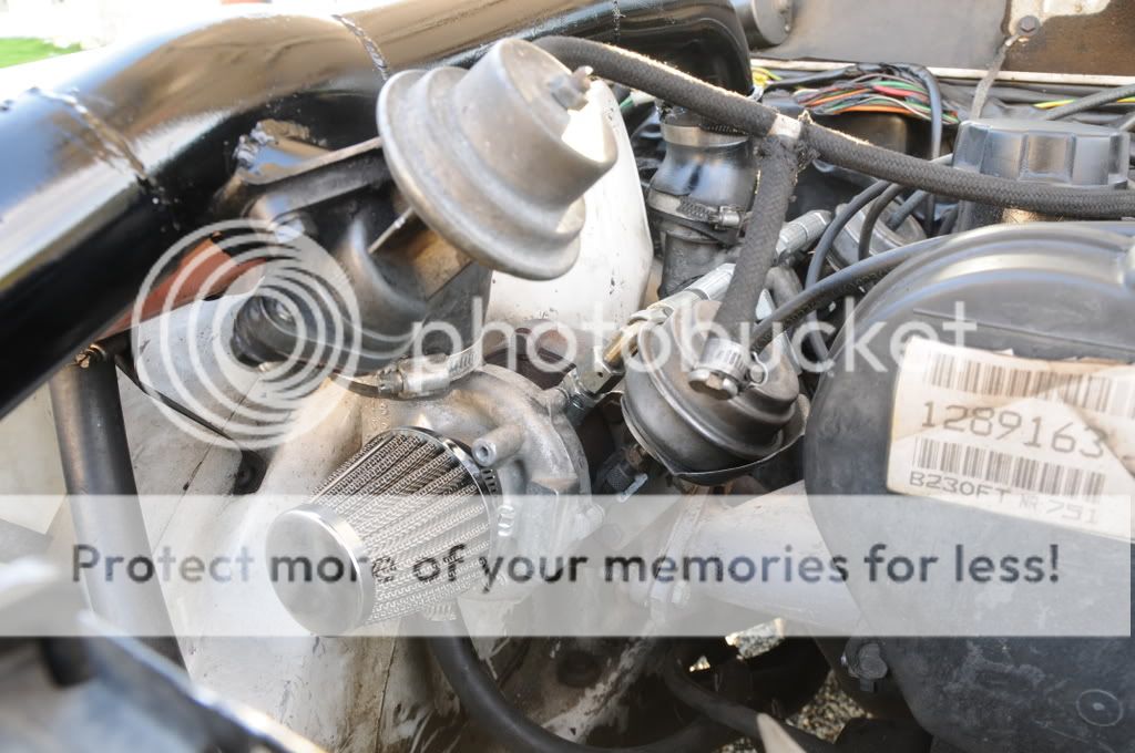 DSC_1055.jpg?t=1221432501