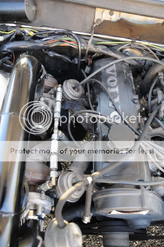 DSC_1065.jpg?t=1221432677