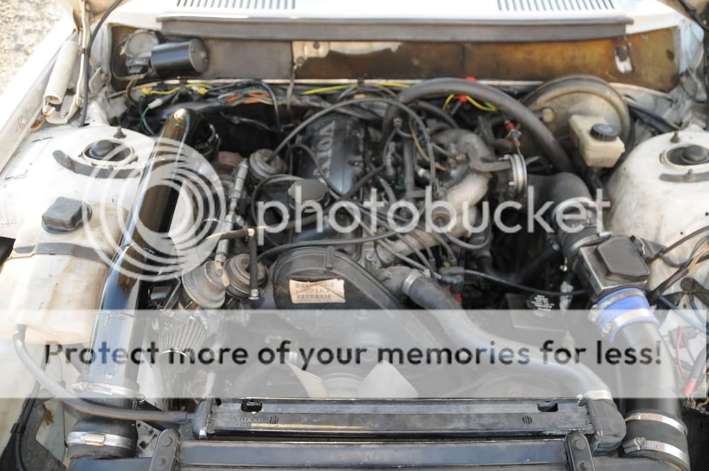 DSC_1069.jpg?t=1221432735