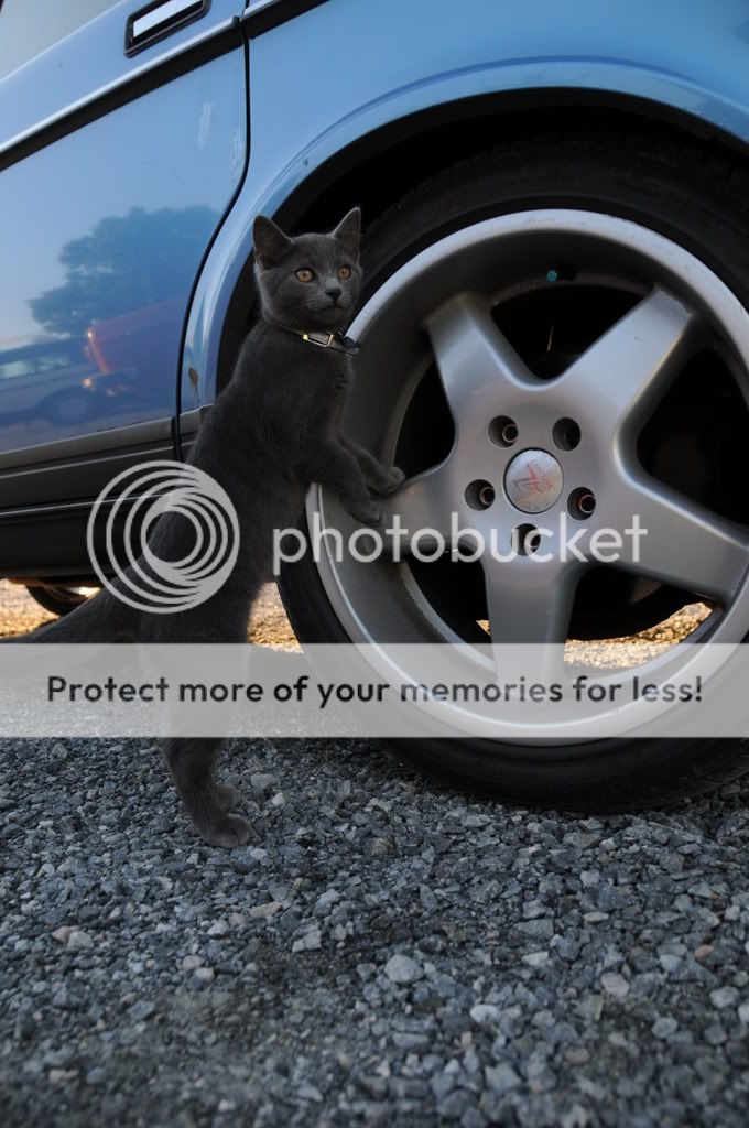 DSC_1080.jpg?t=1221432830