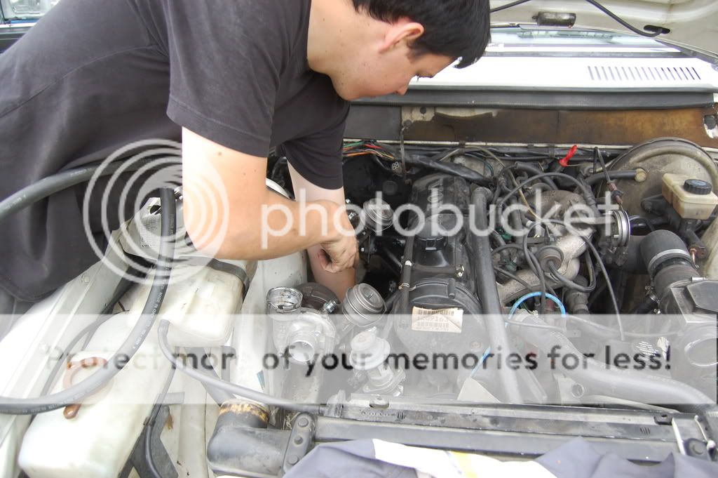 DSC_1576.jpg?t=1221432440