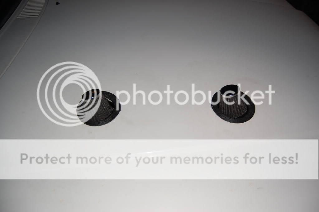 DSC_1791.jpg?t=1222292533