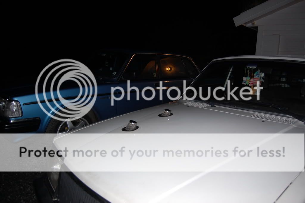 DSC_1798.jpg?t=1222292596