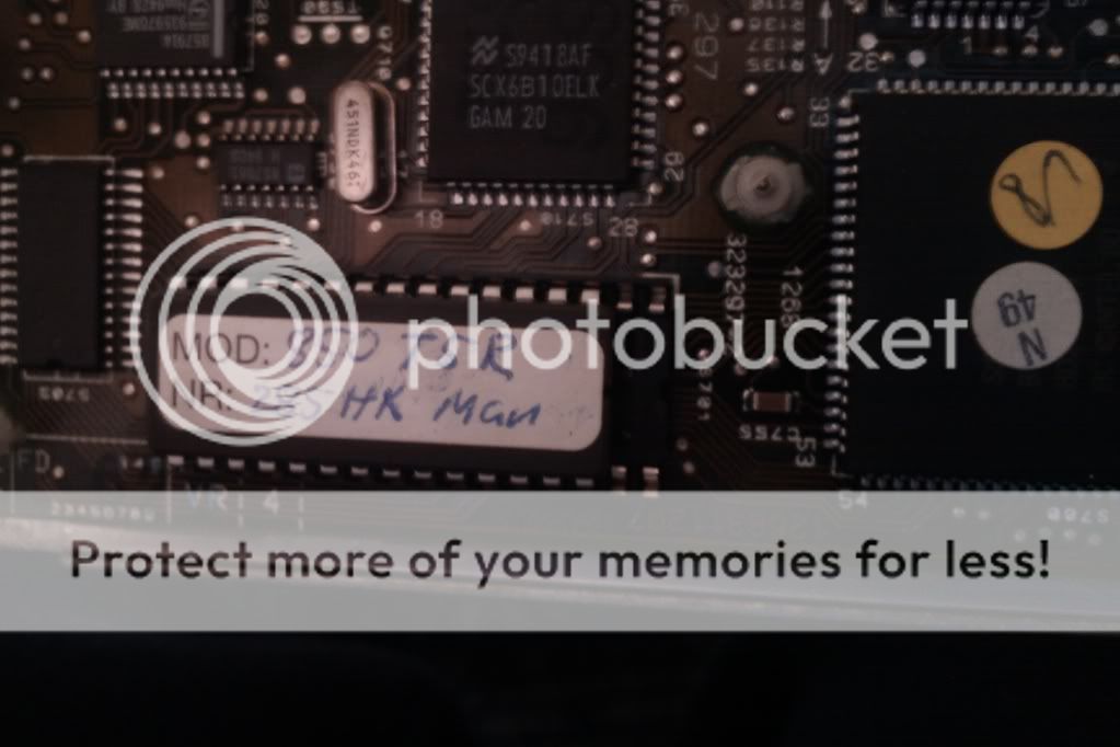 IMAG0096.jpg?t=1280843260