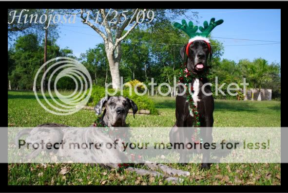 IMAGE: http://i364.photobucket.com/albums/oo89/HisLove112604/New%20Camera%20Pics/Posing%20Shots/11-25-09/11-25-09-02.jpg