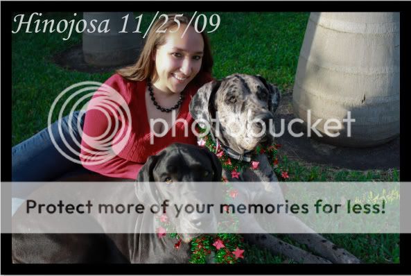 IMAGE: http://i364.photobucket.com/albums/oo89/HisLove112604/New%20Camera%20Pics/Posing%20Shots/11-25-09/11-25-09-37.jpg