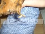 PICT0833.jpg